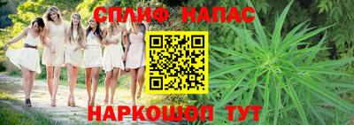 гашик Гусиноозёрск