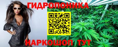 гашик Гусиноозёрск